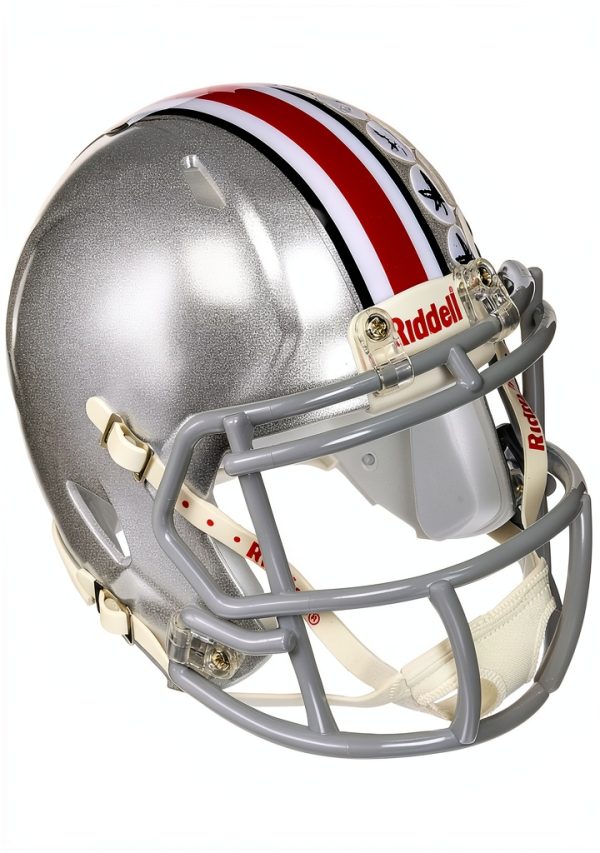 Riddell Speed Mini Helmet Official Colors Kids-2